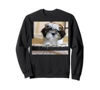 Silla masticable Shih Tzu Puppy Sudadera