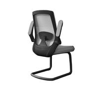 Silla para juegos de computadora Silla de oficina ejecutiva con reposabrazos ajustables y base de trineo de metal, silla de escritorio de malla con respaldo alto for estudio de trabajo for adultos(Gre