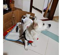 Silla Perruna Perros Gato Conejo Silla de Ruedas para Rehabilitación de Patas Traseras, Carrito para Perros Mayores o con Problema de Movilidad, Ligero y Ajustable, Mascota 2~44 LB