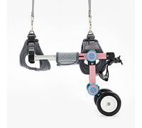 Silla Ruedas para Patas Traseras Silla de Ruedas para Perros, Ajustable Discapacitados Perros Caminar Asistida Coche Patas Traseras Rehabilitación Ejercicio Coche 2 Ruedas