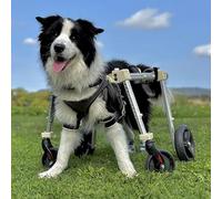 Silla Ruedas Perro La Silla de Ruedas para Perros de 2/4 Ruedas Se Puede Ajustar, Silla de Ruedas con Soporte para Piernas Xs a Xxl para Perros Pequeños, Medianos y Grandes(Blue,XXL)