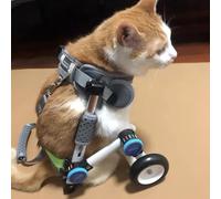 Silla Ruedas Perro Silla de Ruedas Ligera de Perro Ligero Ajustable, Carro de Mascotas de Gato Pequeño con Arnés Suave, Asistir al Entrenamiento de Rehabilitación de Las Piernas Traseras Débiles del A