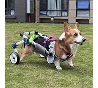 Silla Ruedas Perro Silla de Ruedas para Perros Corgi para Patas Traseras, Asistencia de Movilidad Plegable para Perros Pequeños y Medianos, Soporte de Cadera y Pierna Ajustable para Perros(Size XXXS)