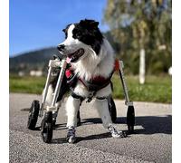 Silla Ruedas Perro Silla de Ruedas para Perros Xs a Xxl, 4 Ruedas Pueden Ser 2 Ruedas, Silla de Ruedas con Soporte Completo para Un Perro Discapacitado. Rodillera Ajustable para Perro para Pierna(Blue