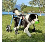 Silla Ruedas Perro Sillas de Ruedas para Perros Extra Grandes de 2 O 4 Ruedas, Silla de Ruedas para Perros con Patas Delanteras y Traseras, Silla de Ruedas Para Gatos y Perros con Ayuda para La Movili