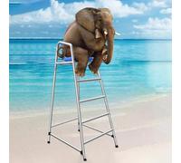 Sillas de Salvavidas, Silla de Salvavidas Resistente de 6 pies - Puesto de observación portátil Junto a la Piscina para Parques acuáticos y Playas - Asiento de observación Duradero para exte