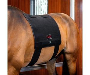 Sillín terapéutico Horseware Full