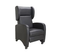 Sillón Manual Exótico