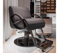 Sillon Peluqueria Profesional con Cuscino a Molla Rotazione di 360° Sollevamento Libero Poltrona da Salone In Pelle con Base In Acciaio INOX Nero e Poggiapiedi(Gray)