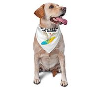 Silly Goose On Board Spring Dog Bandanas Boy Bulk Puppy Pañuelo Ajustable Triángulo Suave Baberos Accesorios para Perros Pequeños Medianos Grandes Gatos Blanco