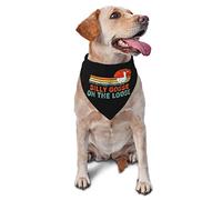 Silly Goose On The Loose Spring Dog Bandanas Boy Bulk Puppy Pañuelo Ajustable Triángulo Suave Baberos Accesorios para Perros Pequeños Medianos Grandes Gatos, Blanco