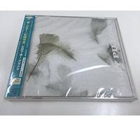 Silly Pillows, The - Pillow Paw Prints