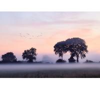 Silueta de árbol - 300 Juegos de Rompecabezas de Madera para familias: una Variedad de Juegos de Rompecabezas para Mejorar Las Habilidades (14 años+)