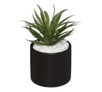Silumen Planta Grasa Artificial 18cm con Maceta de mármol - Negro