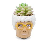 Silver Buffalo The Golden Girls Sophia Face Mini Ceramic Planter with Faux Succulent | 3 Inches