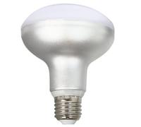 SILVER ELECTRONICS Bombilla LED 12W, 5.000K Luz Fría, Base E27, 1.280 lúmenes, Ángulo de 160º, 3 x 9 x 12 cm