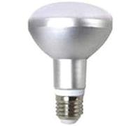 SILVER ELECTRONICS BOmbilla LED reflectora R80 10W E27 5000K