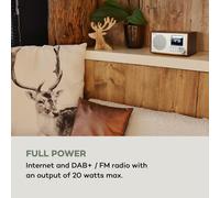 Silver Star Mini Radio Internet DAB+/FM WiFi Bluetooth Roble