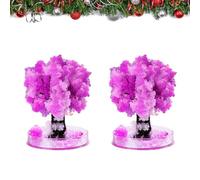 SilverChry 2 Piezas Árbol de Navidad Mágico en Crecimiento, Árbol de Papel Mágico, Mini Decoración para Árbol de Navidad, Árbol de Navidad en Crecimiento DIY para Niños y Niñas