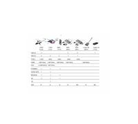 SilverHT - Adaptador Logan Tipo C a HDMI 4K