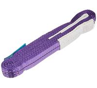 Silverline Tools 282524 - Eslinga 1 tonelada (4 m)