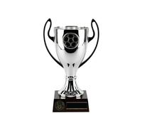 SilverTrophy: Football Silver Award, ganadores de trofeos, campeones, jugador del partido, jugador, equipo, club escolar, fiesta infantil, premio, competición, torneo, personalización, fútbol 17 cm