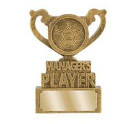 SilverTrophy: Trofeo de jugador de entrenador, premio al jugador de fútbol del partido, competición de clubes, torneo de fútbol, fiesta deportiva escolar para niños, ganador, placa de grabado