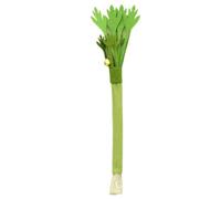 Silvervine Cat Toy - Celery Chew Stick With Bell | Interactive Play