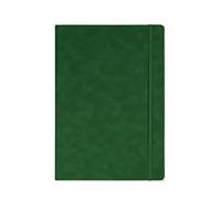 Silvine Cuaderno ejecutivo de tapa dura A4, 160 páginas a rayas de papel marfil premium de 90 g/m², color verde (198BRG)
