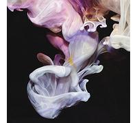 Simian Mobile Disco - Murmurations