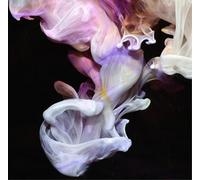 Simian Mobile Disco Murmurations (Vinyl) 12" Album (Importación USA)