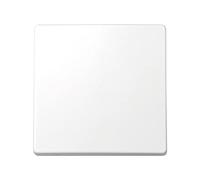 Simon 73010-60 - Tecla Interruptor y Conmutador s-73, Blanco