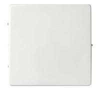 Simon Tecla conmutador, serie 82 Concept, 1 x 5,5 x 5,5 centímetros, color blanco mate (referencia: 8200010-090)