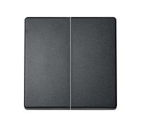 Simon 8202026-038 interruptor de luz Termoplástico Grafito