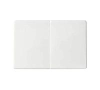 Simon - 82026-30 tecla grupo int+conmutador simon s82 bl nieve Ref. 6558230203