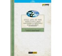 Simon Jeffes: Still Life At The Penguin Cafe The P (Blu-ray) (Importación USA)
