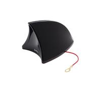 Simoni Racing ASR/05 Antena
