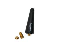 Simoni Racing ASR/18 Antena