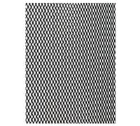 Simoni Racing GSA/1N Rejilla delantera