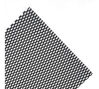 Simoni Racing GSA/1N Rejilla delantera