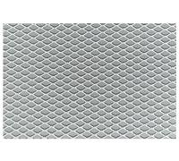 Simoni Racing GSA/2 Rejilla delantera