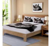 Simple Animal Sábana Ajustable De Microfibra Suave Resistente a Las Arrugas Gatito 140x200 cm Bolsillo Elástico De 30 cm Profundidad para un Ajuste Gris
