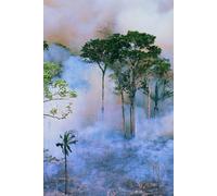 Simple Black Lined Journal: 120 Pages of Clarity, Creativity, and Reflection: Perfect for Daily Notes, Thoughts, and Personal Reflection | 120 Blank Lined Pages for Writing, Planning, and Goal-Setting