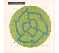 SIMPLE MINDS - AMSTERDAM E.P. 12 inch (12" Vinyl) UK VIRGIN 1989