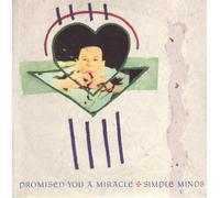 SIMPLE MINDS - Promised You A Miracle / Book Of Brilliant Things