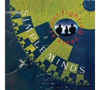 Simple Minds - Street Fighting Years