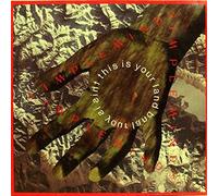 Simple Minds - This Is Your Land - Virgin - 612 240-213, Virgin - 612 240, Virgin - SMXT 4