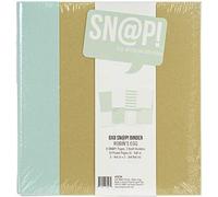 Simple Stories Snap Binder 6X8 Robins, Huevo de Robin, talla única