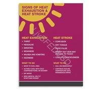 Simplified Safety Guide Poster Signs of Heat Exhaustion Vs Heat Stroke Infographic Canvas for First Aid Training(Framed,08x12inch(20x30cm))