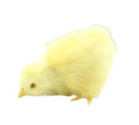 Simulación Chick Animal Doll - Amigo de la granja acogedora, Baby Bird Cuddly | Figura inspirada en la caricatura, compañeros de peluche amarillo esponjoso, regalos de de granja de temporada